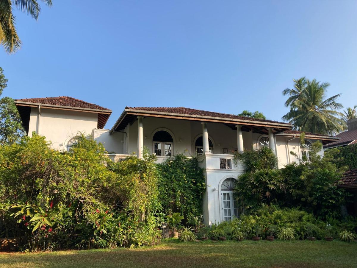 The Villa Green Inn Negombo Extérieur photo