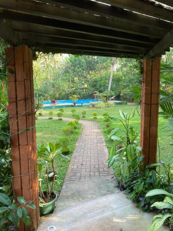 The Villa Green Inn Negombo Extérieur photo