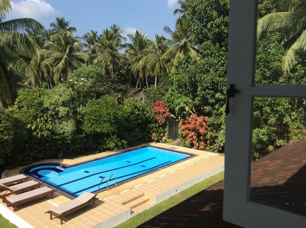 The Villa Green Inn Negombo Extérieur photo